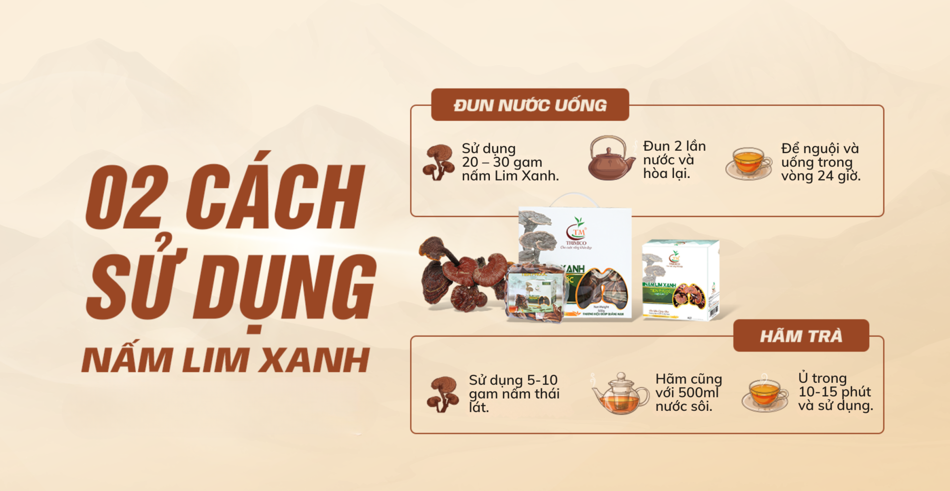 nấm lim xanh có tác dụng gì